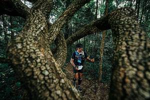 BIB: 
                            <button type="button" onclick="openModal(25393993)" class="btn btn-primary btn-sm float-right btn-popup" data-toggle="modal" data-target=".modal-high-quality">
                        <i class="fas fa-shopping-cart"></i> Add to Cart
                    </button>
                                            <button type="button" onclick="isThisMe(25393993, true)" class="btn btn-success btn-sm float-right btn-popup btn-isme hidden" data-toggle="tooltip" data-placement="bottom" title="นี่คือรูปของคุณใช่ไหม คลิกที่นี่เพื่อเอาเข้าอัลบั้ม">
                        <i class="fas fa-plus"></i> Add to album
                    </button>
                    <button type="button" onclick="isThisMe(25393993, false)" class="btn btn-warning btn-sm float-right btn-popup btn-isnotme hidden">
                        <i class="fas fa-ban"></i> Remove from album
                    </button>